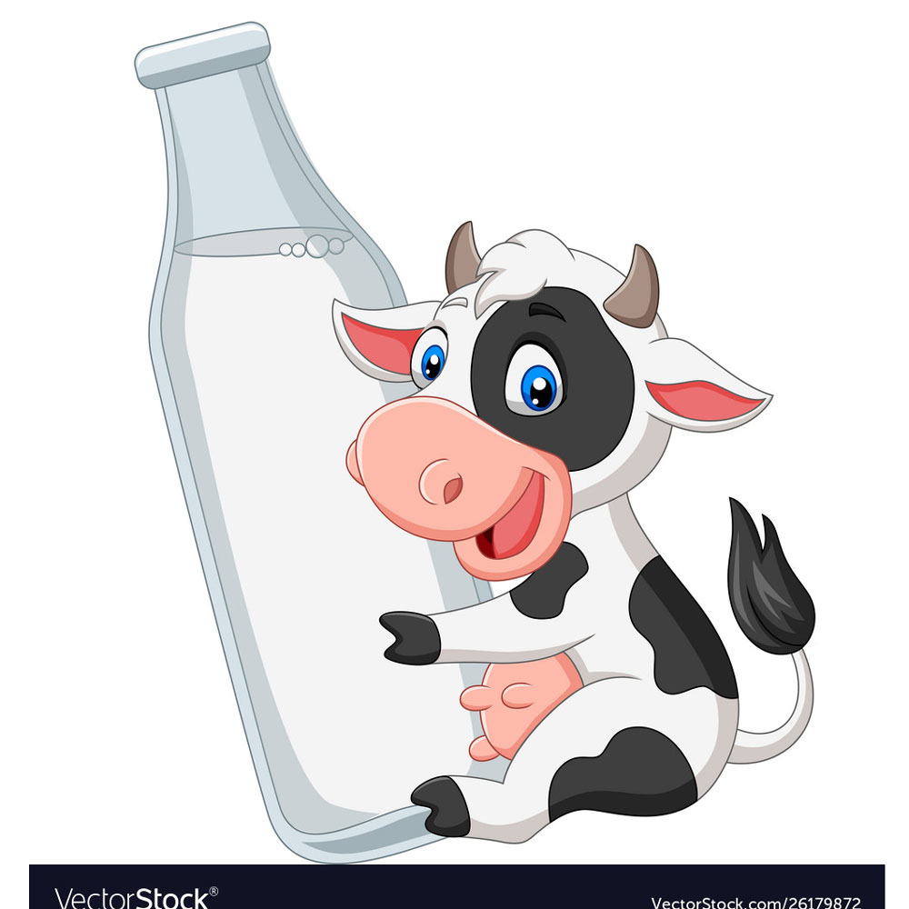 مصرف شیر گاو خطرناک